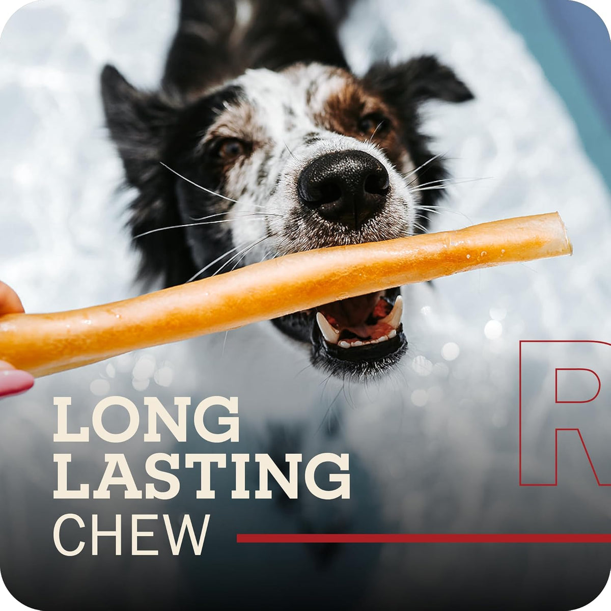 Redbarn beef collagen braids for dogs in resealable packaging