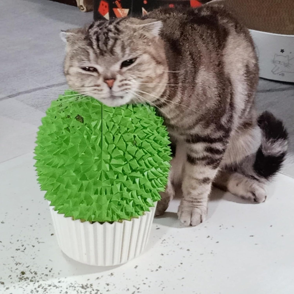 Miwoowim Extended (6.1") 2 Pack Self Grooming Cat Brush - Wall Corner Scratcher with Massage Combs for Long and Short Fur Cats, Kittens (Grey) - Image 9