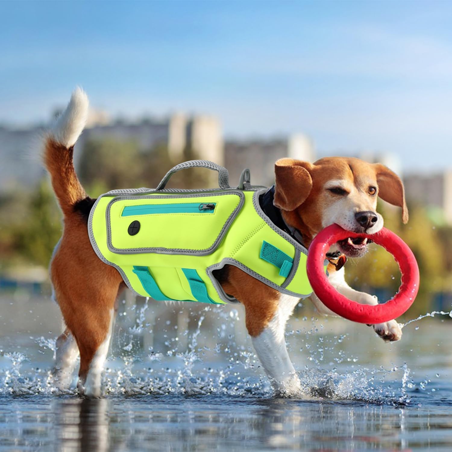 X Small safety dog life jacket laid flat demonstrating hook and loop strap adjustments.