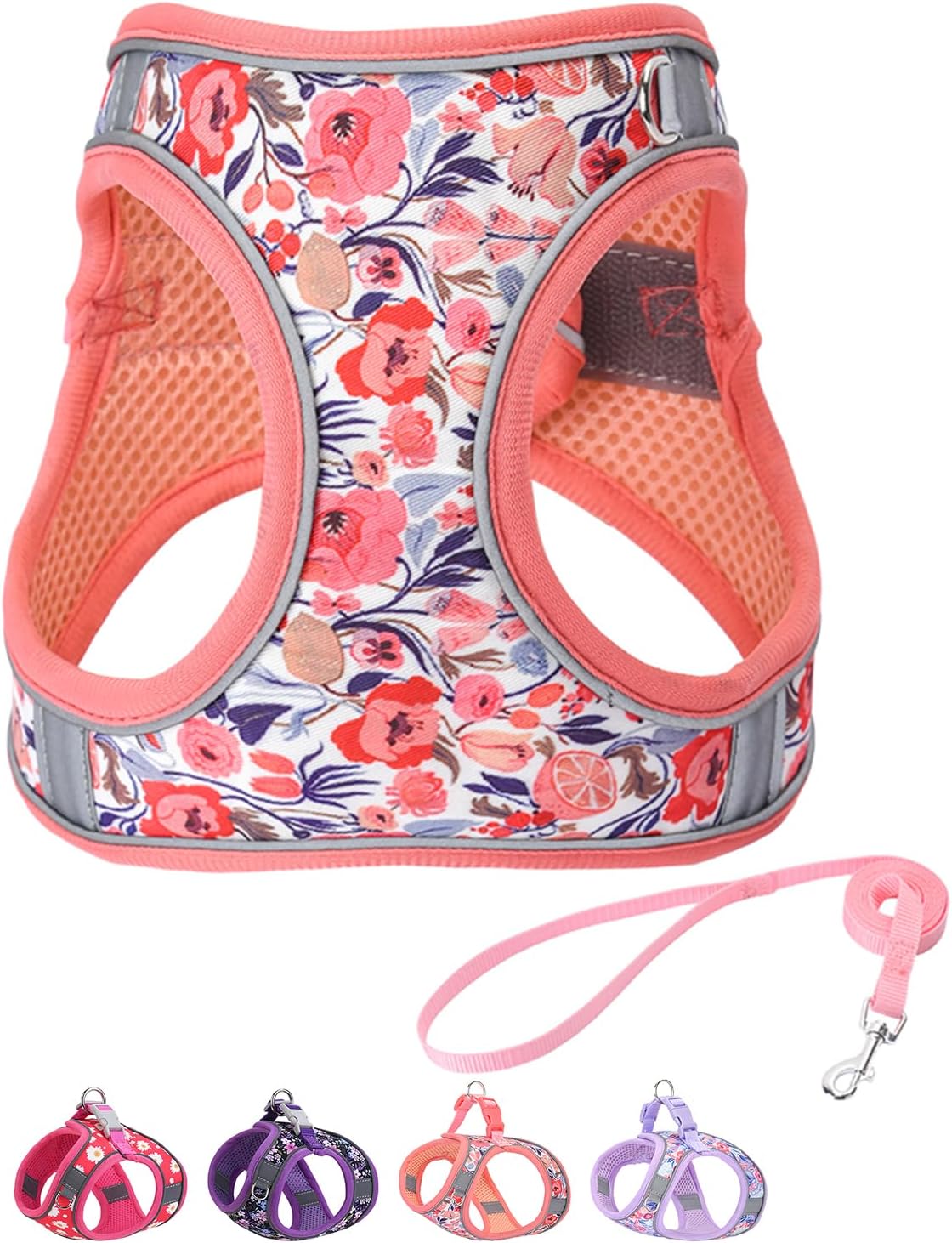 Step in Dog Harness and Leash Set, Flower Adjustable Easy Walk Puppy Harnesses, Soft Mesh No Pull Pet Vest Harness for Small Dogs and Cats(Strawberry, XS) - Image 14
