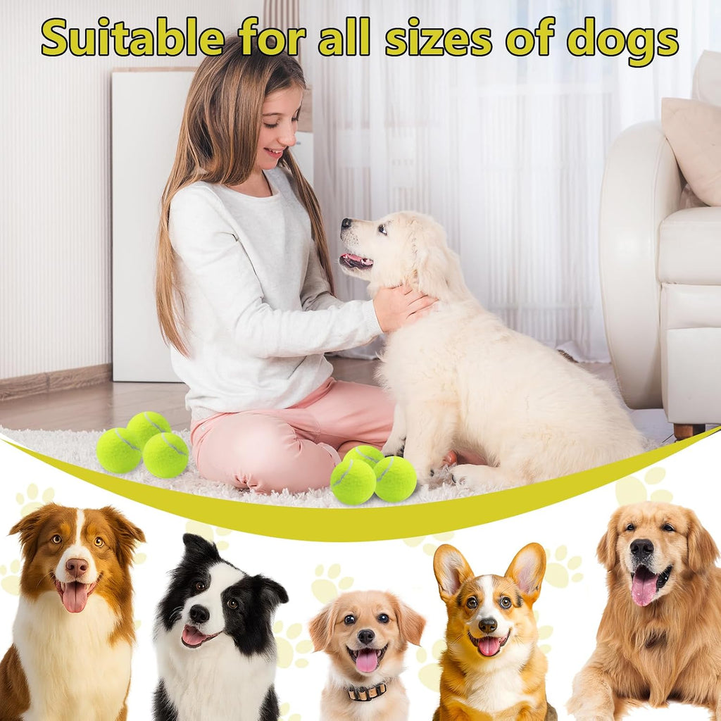 Durable felt and rubber construction of dog training ball
