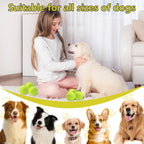 Durable felt and rubber construction of dog training ball