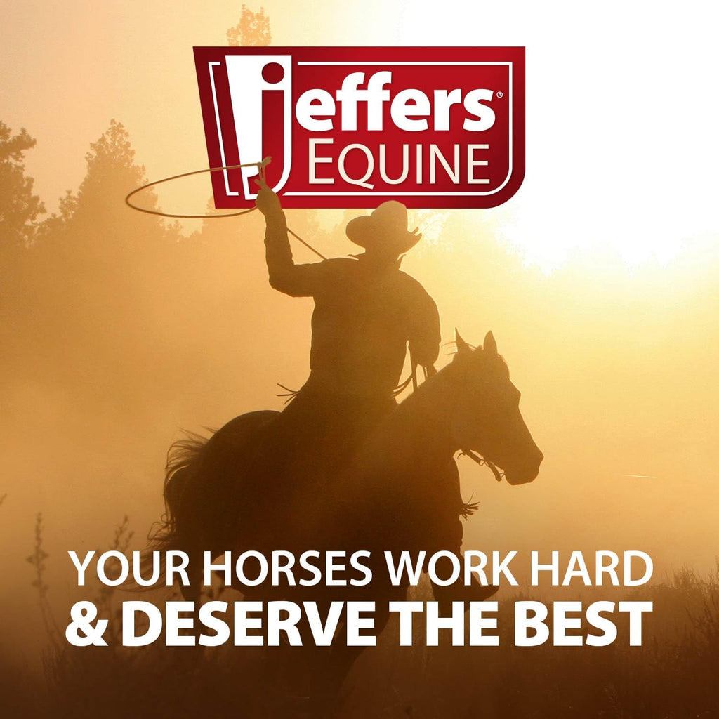 Jeffers neoprene leg guards showing durable strap closures for secure equine protection.