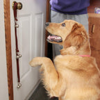 Demonstrating length adjustment of Cathylife dog door bell