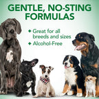 Lifestyle image of dog ear care product ready for grooming routine