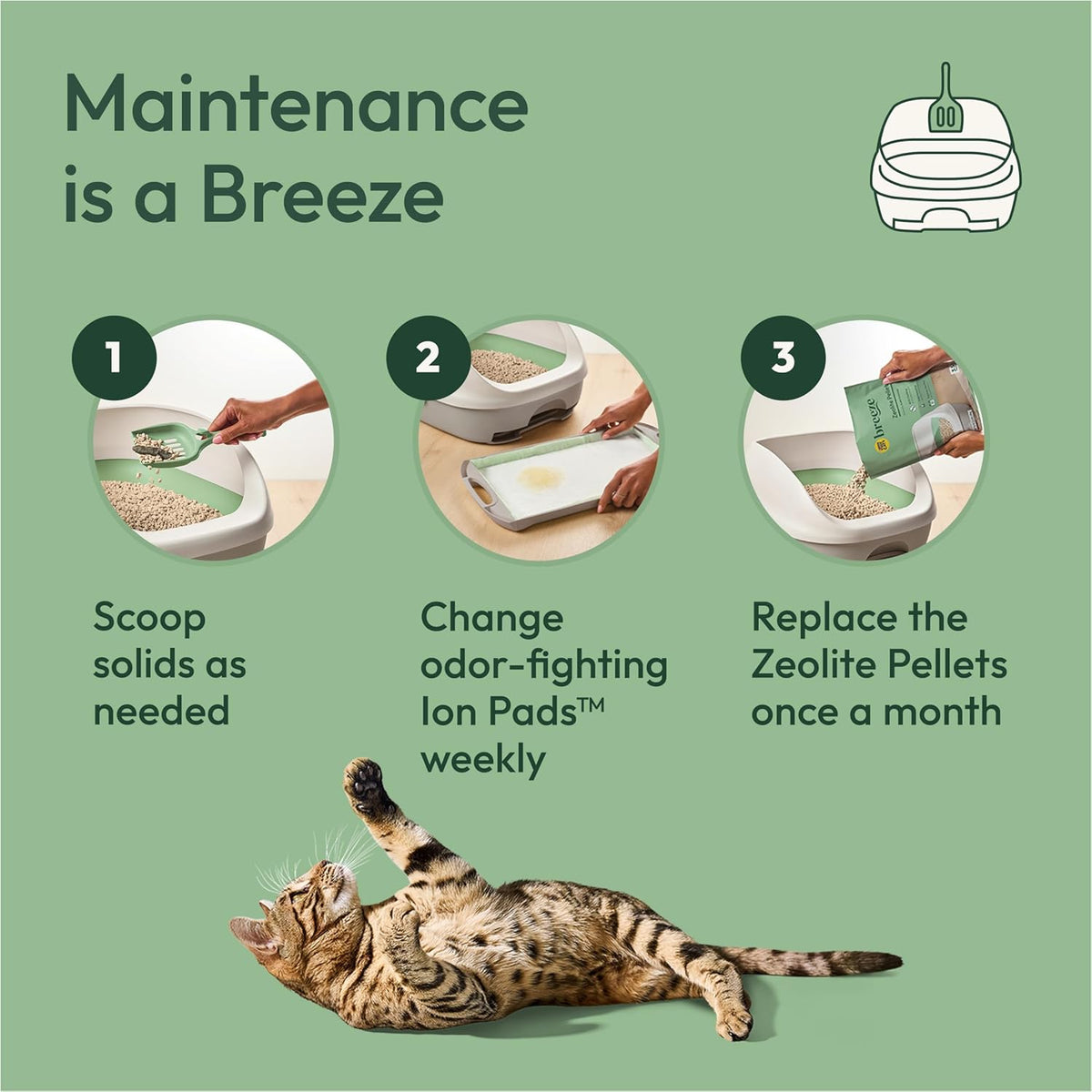 Bottom pull out tray drawer of Purina Tidy Cats Breeze system