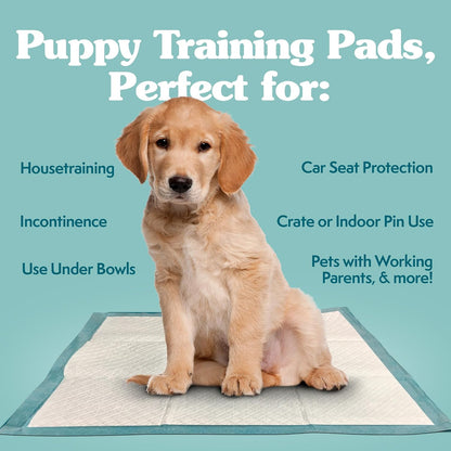 Simple Solution extra large dog training pads spread out showing the wide coverage area