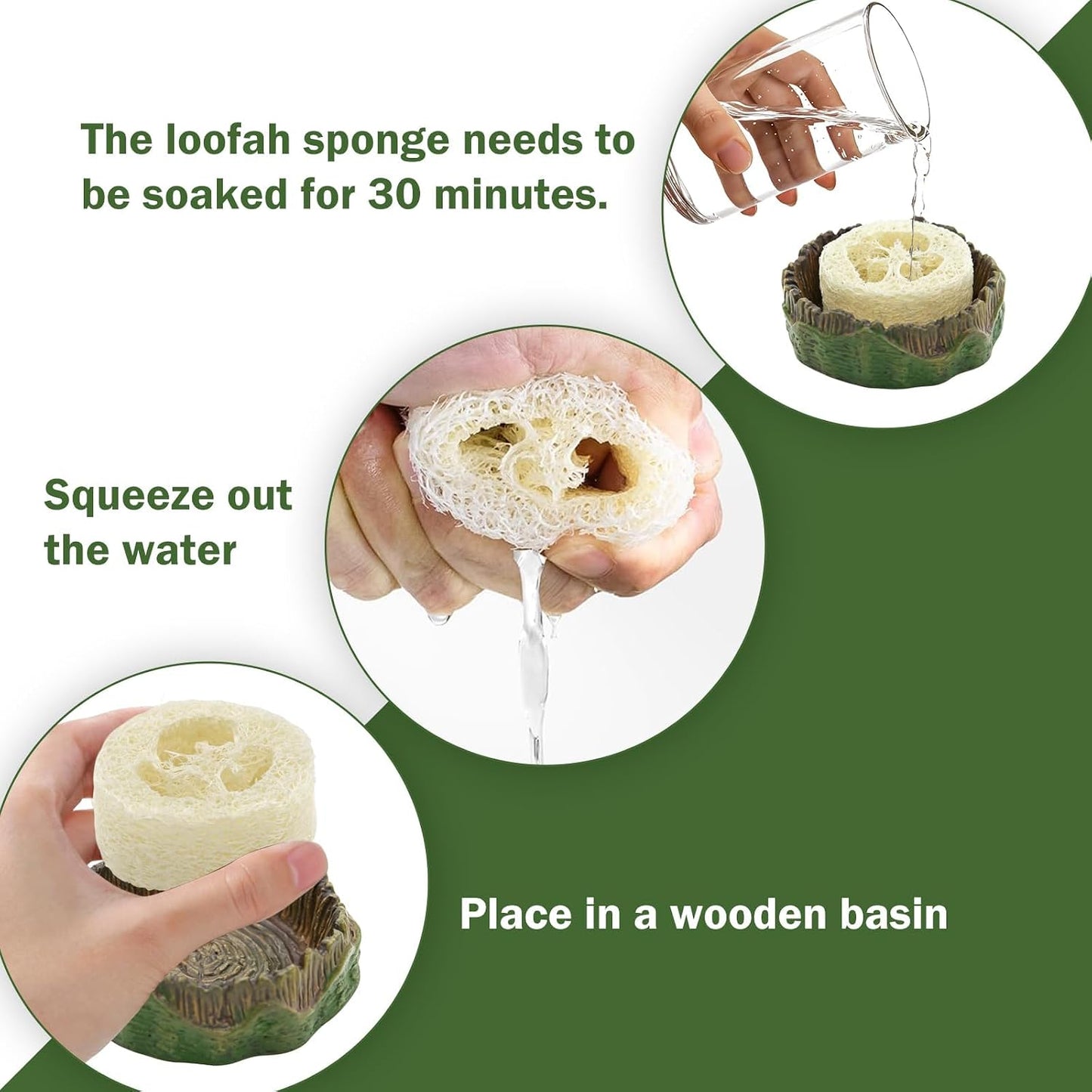 Natural luffa inserts for insect terrarium hydration