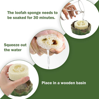 Natural luffa inserts for insect terrarium hydration