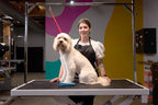 Wahl Motiva2 pet trimmer held comfortably in hand showcasing the low vibration design profile
