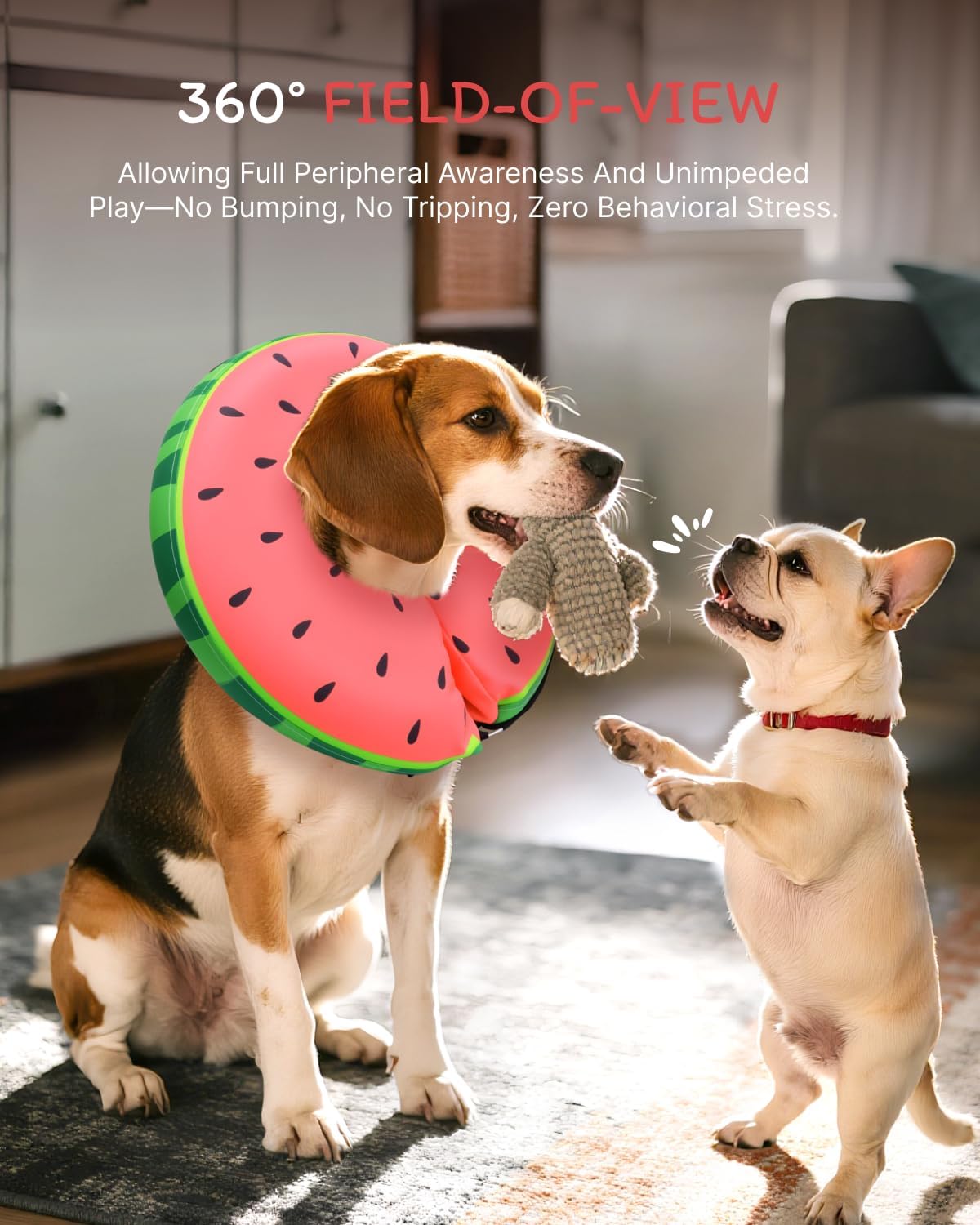 Watermelon pattern plush fabric detail of Midog dog cone