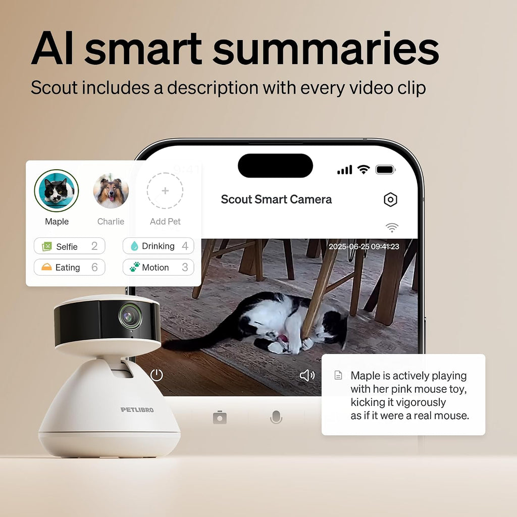 Petlibro AI camera recording cat in living room