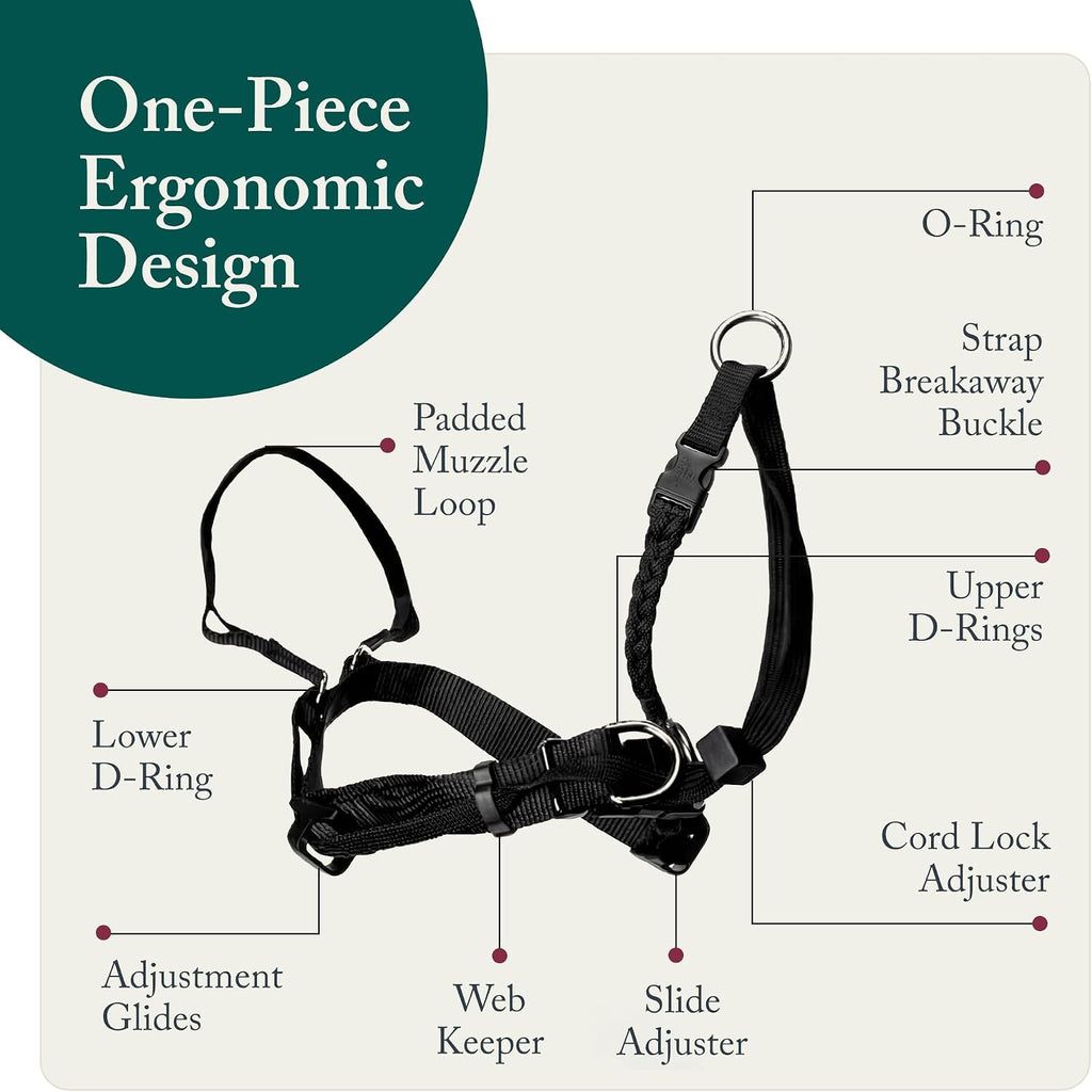 Sporn dog head halter packaging and components laid flat