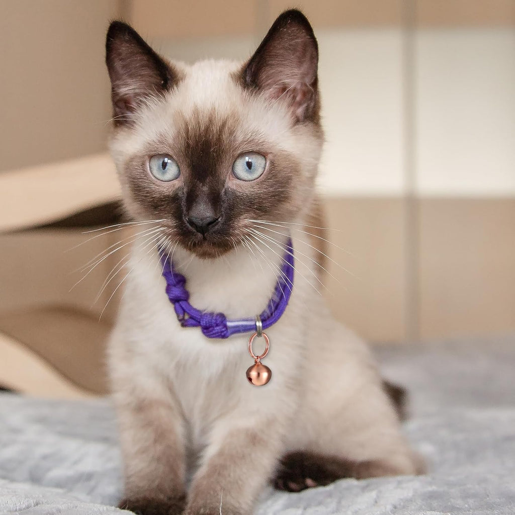 Rust resistant metal pet collar bells in five distinct metallic finishes.