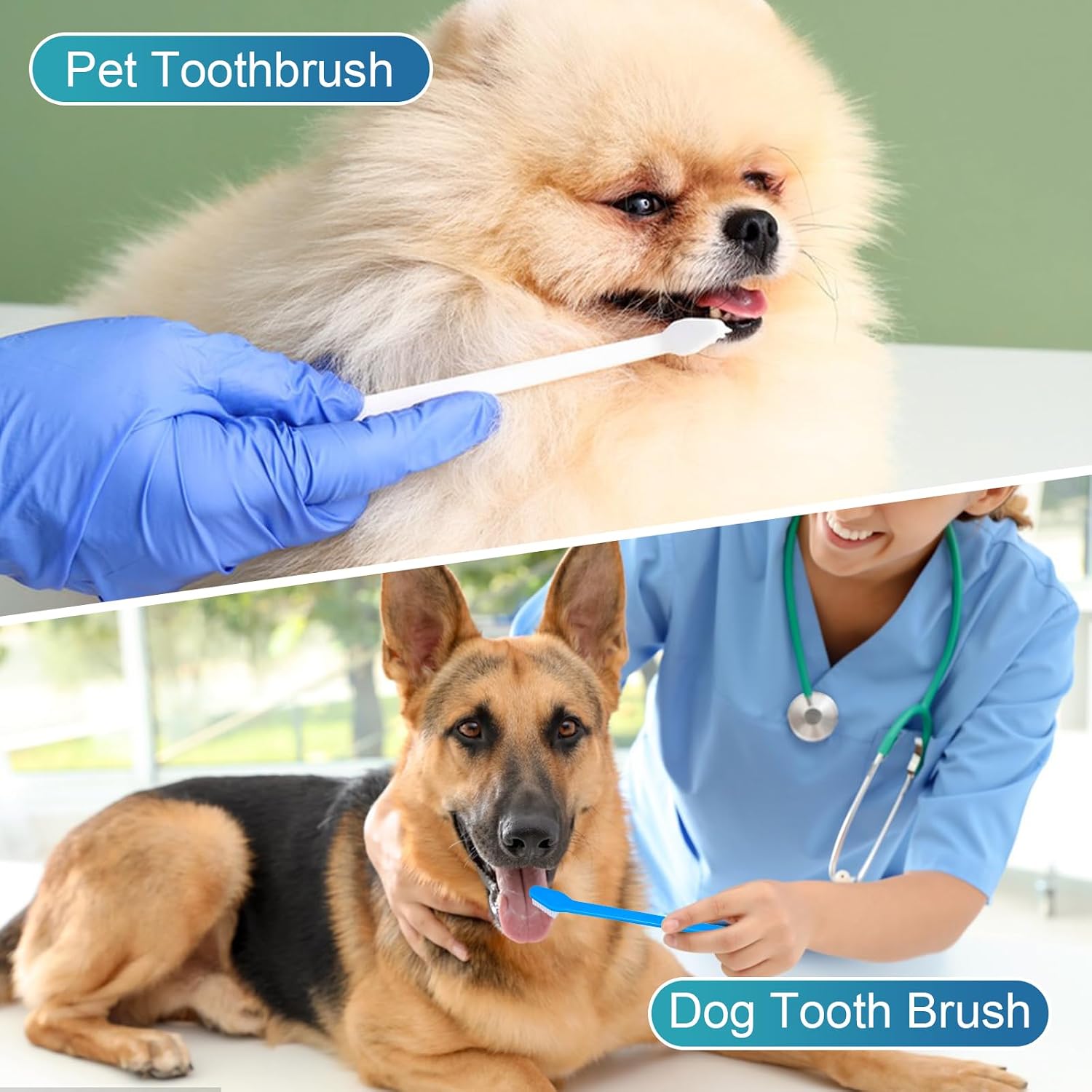 Close up of double headed pet toothbrush bristles
