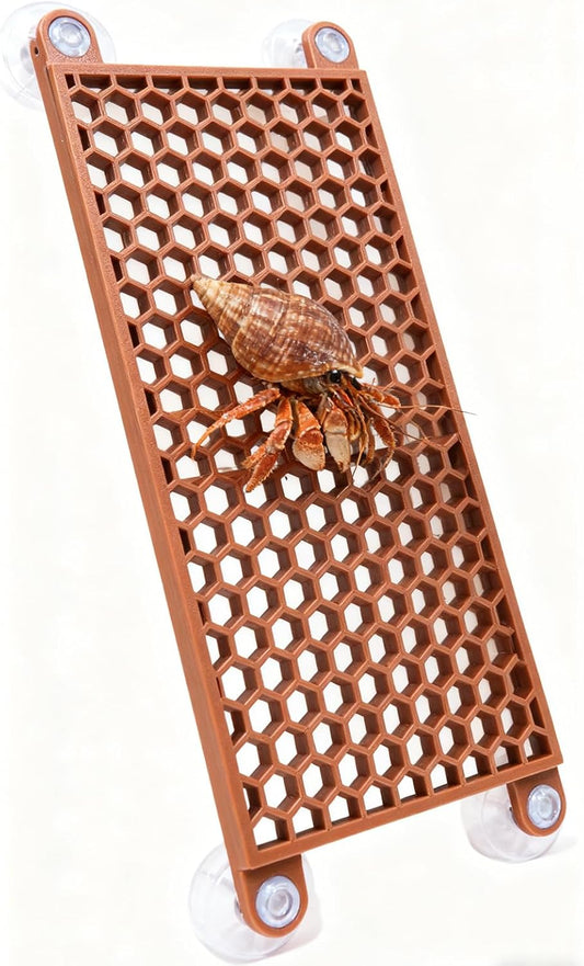 Bolagar hermit crab climbing toy front view inside an aquarium tank