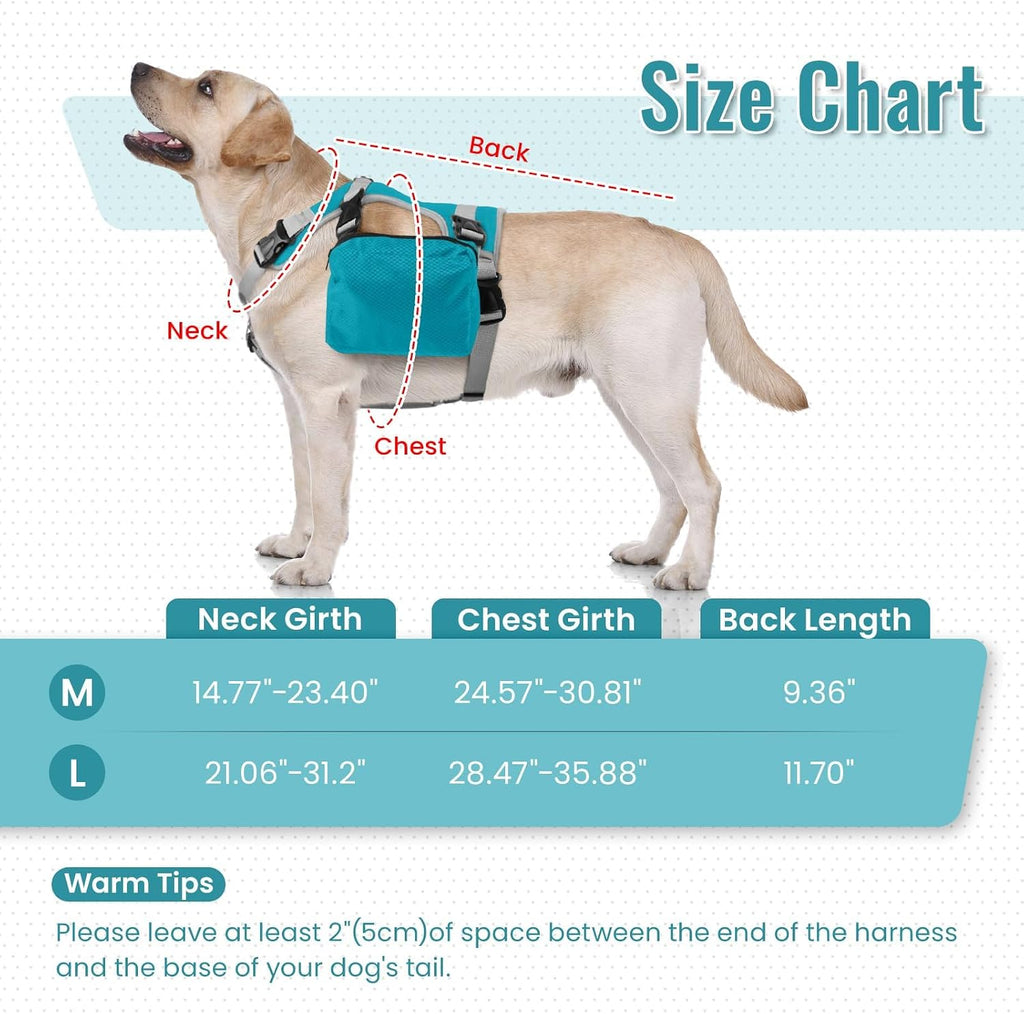 Dora Bridal large dog backpack displaying the heavy duty metal leash attachment d ring
