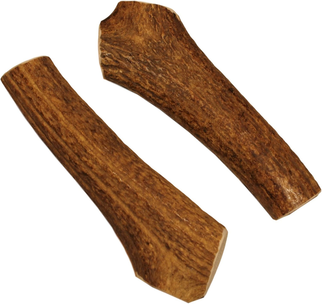 Elkhorn Premium Chews - X Large Whole Single Pack (for 50-90 lb Dogs) Premium Grade Elk Antler for Dogs (1 Piece) Sourced in the USA - Image 15