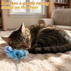 Measurement demonstration of the two point seven centimeter cat ball with ten centimeter feathers.