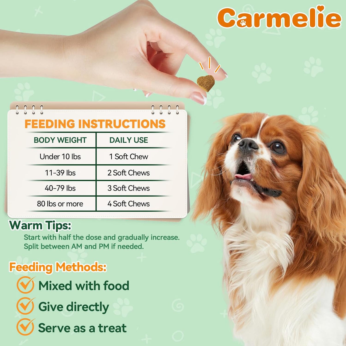 Carmelie 200 count dog flea preventative supplement container top angled view