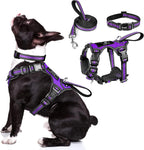 WINSEE Pet Harness Collar and Leash Set, All-in-one Reflective Dog Harness No Pull with Adjustable Buckles for Puppies, Small, Medium, Large, and Extra-Large Dogs (Large, Pink) - Image 15