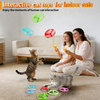 Durable plastic spinning discs for indoor kitten and adult cat exercise