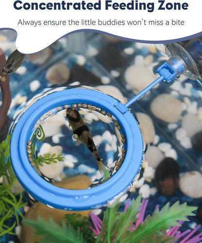 Pawfly blue round feeding ring installed in clear water fish tank