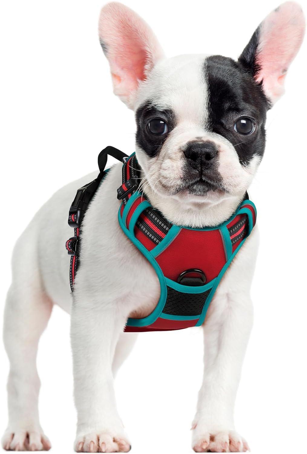 rabbitgoo Dog Harness No Pull with 2 Leash Clips, Adjustable Soft Padded, Reflective Oxford No Choke Pet Vest with Easy Control Handle for Large Dogs, Black, L - Image 12