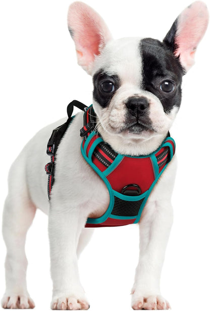 rabbitgoo Dog Harness No Pull with 2 Leash Clips, Adjustable Soft Padded, Reflective Oxford No Choke Pet Vest with Easy Control Handle for Large Dogs, Black, L - Image 12