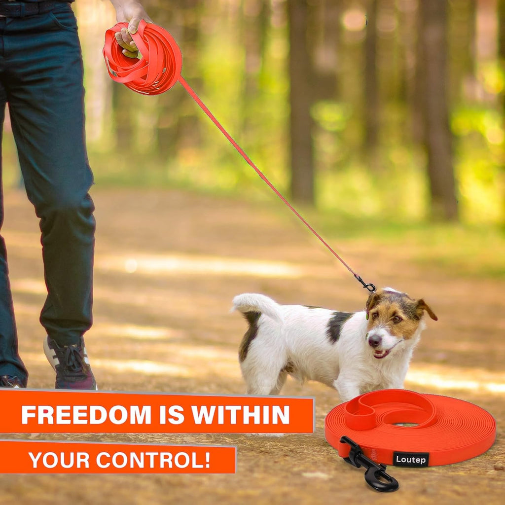 Loutep premium polyvinyl chloride mud proof dog training leash side perspective