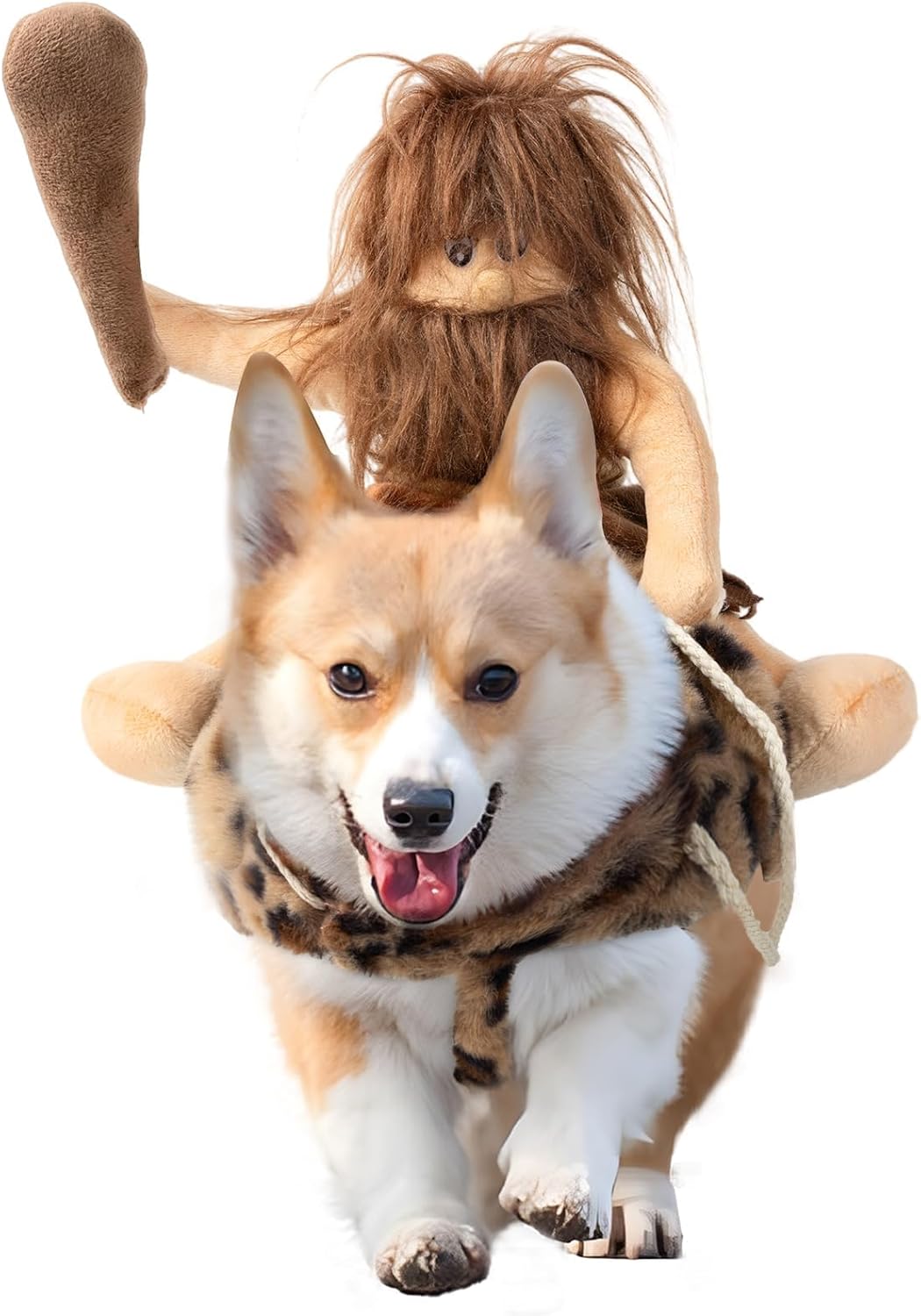 DELIFUR cowboy riding costume on a French Bulldog breed
