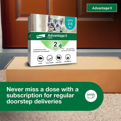 Advantage II Kitten box showing the complete lifecycle control icons for eggs, larvae, and adult fleas.