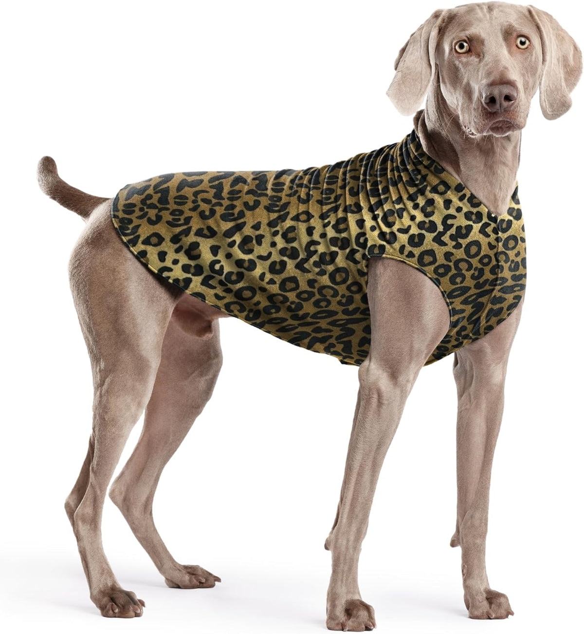 Goldpaw Stretch Fleece Dog Sweater - with Spandex for 4-Way Stretch - Soft, Comfortable Dog Coat - Machine Washable - Made in the USA - Marine Blue - Size 24 - Image 13