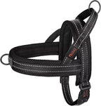 Didog No Pull Dog Harness with Breathable Mesh Padded,Reflective & Quick Fit Light Weight Dog Strap Vest Harness,Easy for Walking Training (L:Chest 26-32", Mesh-Hot Pink) - Image 10