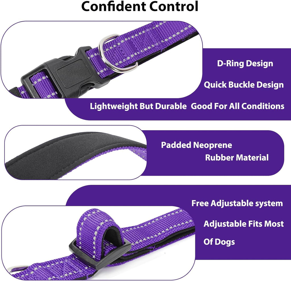Quick release buckle mechanism on penseepet collar