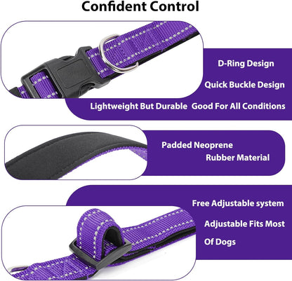 Quick release buckle mechanism on penseepet collar