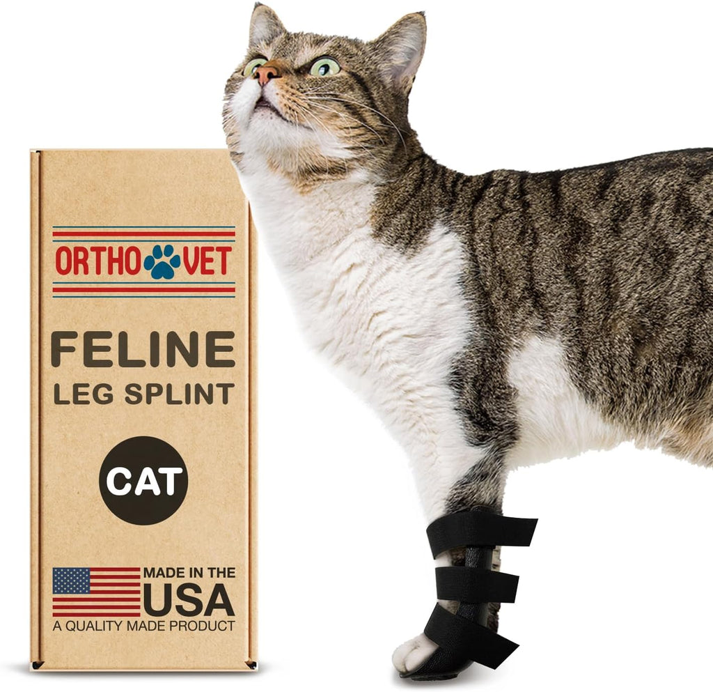 Adjustable securement straps on OrthoVet feline orthotic