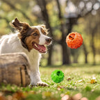 Comparison of Zhierde dog toy size for small breeds