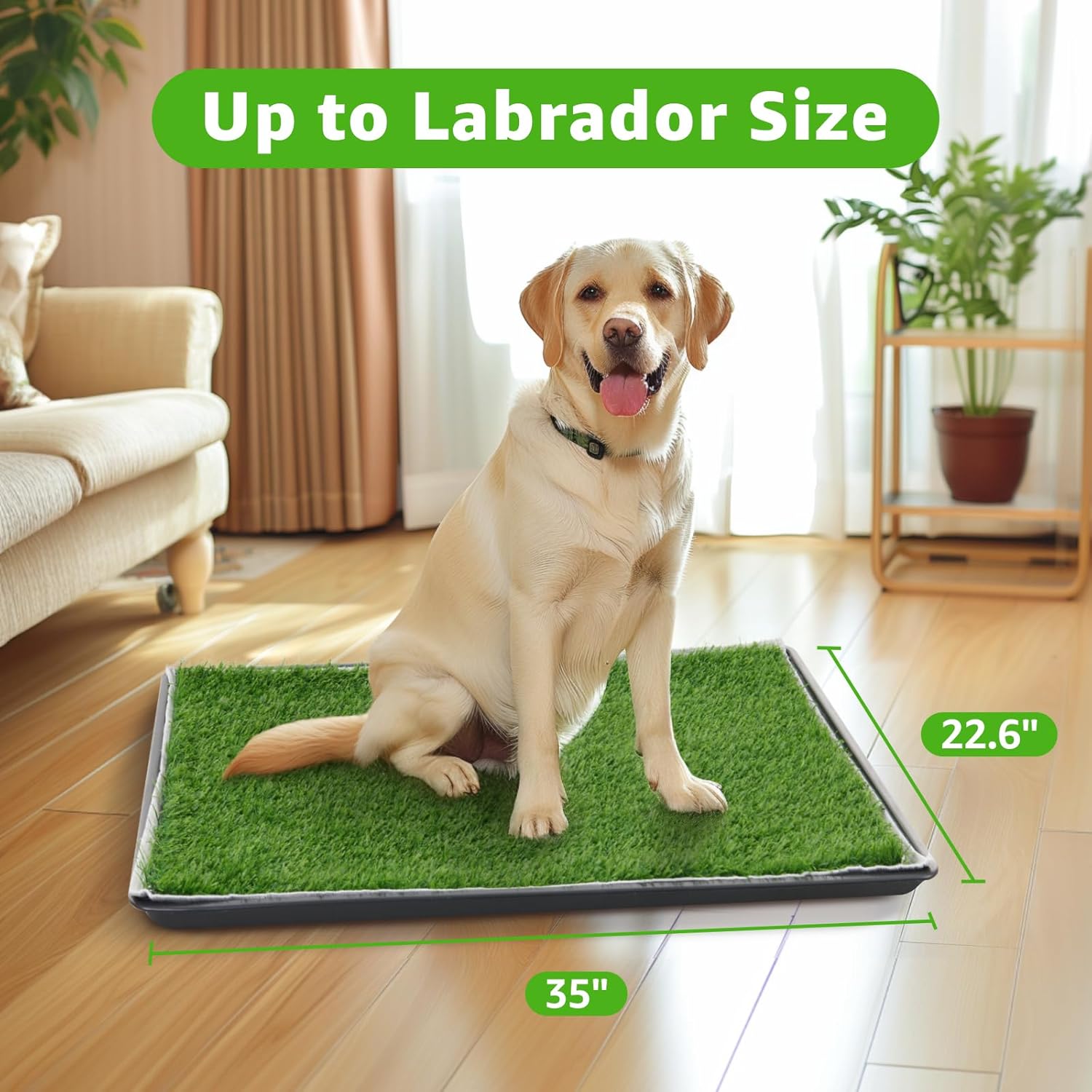 Pick For Life large dog potty tray system components