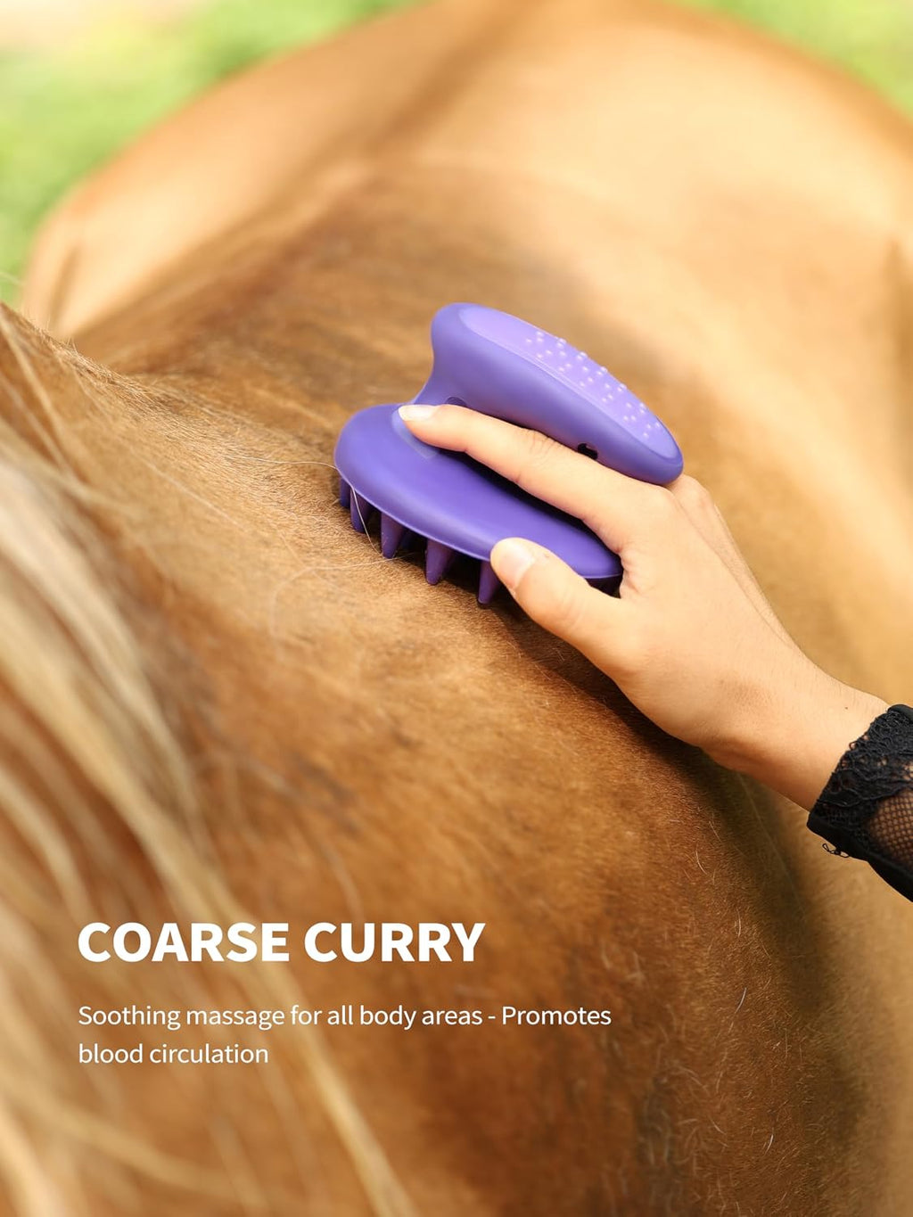 Waterproof horse grooming organizer bag and tools