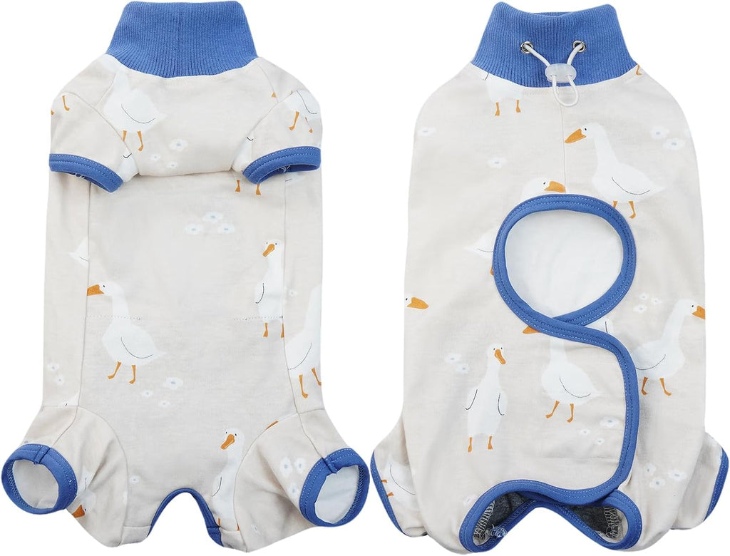 Dentrun surgical suit protecting cat abdominal wound