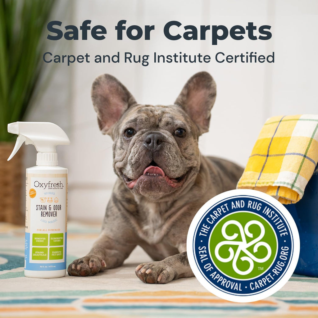 Eco friendly bleach free dog stain remover spray next to clean pet bedding.