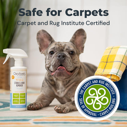 Eco friendly bleach free dog stain remover spray next to clean pet bedding.