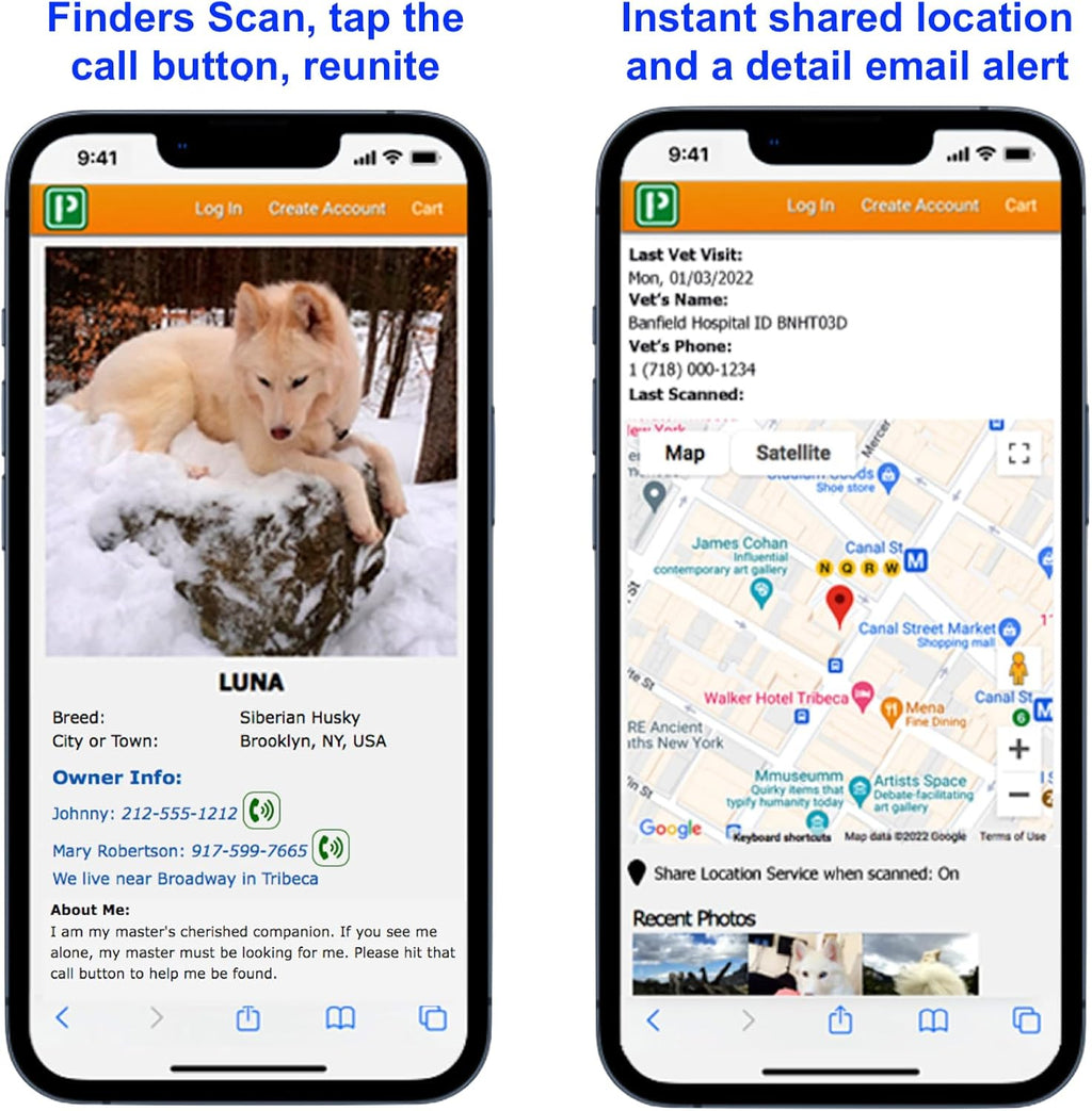 Pet Dwelling digital tracking tag attached to a small cat collar for outdoor safety.