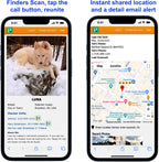 Pet Dwelling digital tracking tag attached to a small cat collar for outdoor safety.
