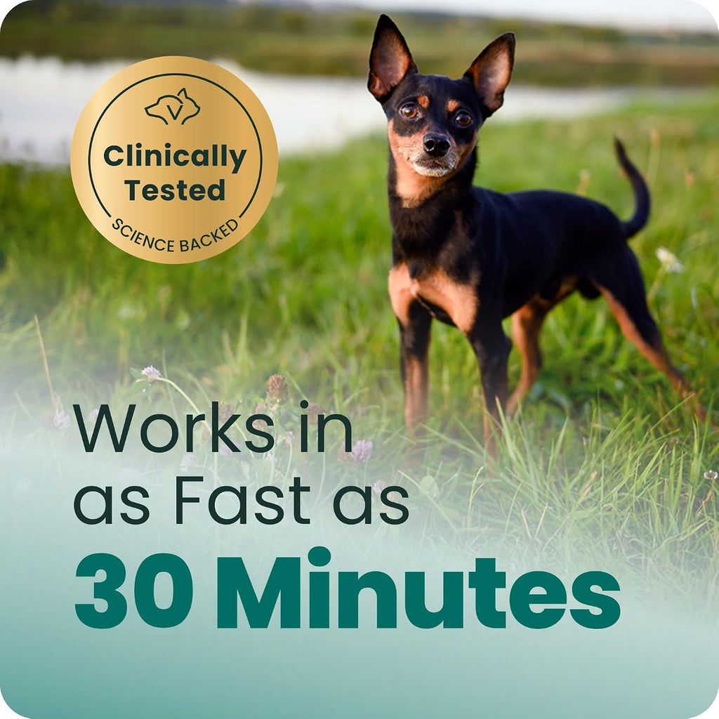 VetriScience anxiety supplement thirty count container for small dogs under thirty pounds