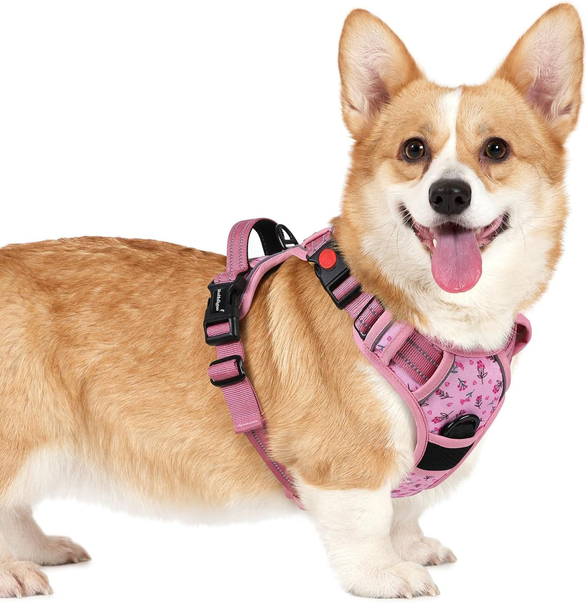 rabbitgoo Dog Harness for Large, No Pull Easy On & Off with 3 Buckles Pet Harness, Adjustable Soft Walking Vest with 2 Clips and Handle, Reflective for Large Dogs, Blue, L - Image 13