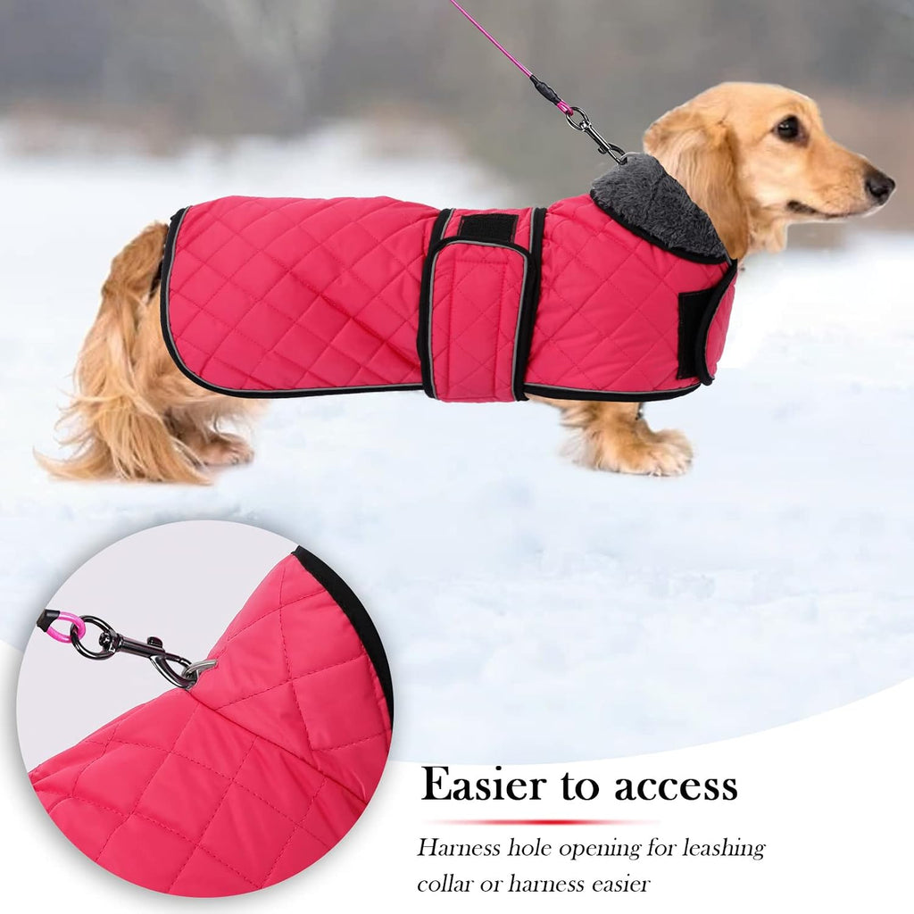 Adjustable front straps on Geyecete dog winter coat