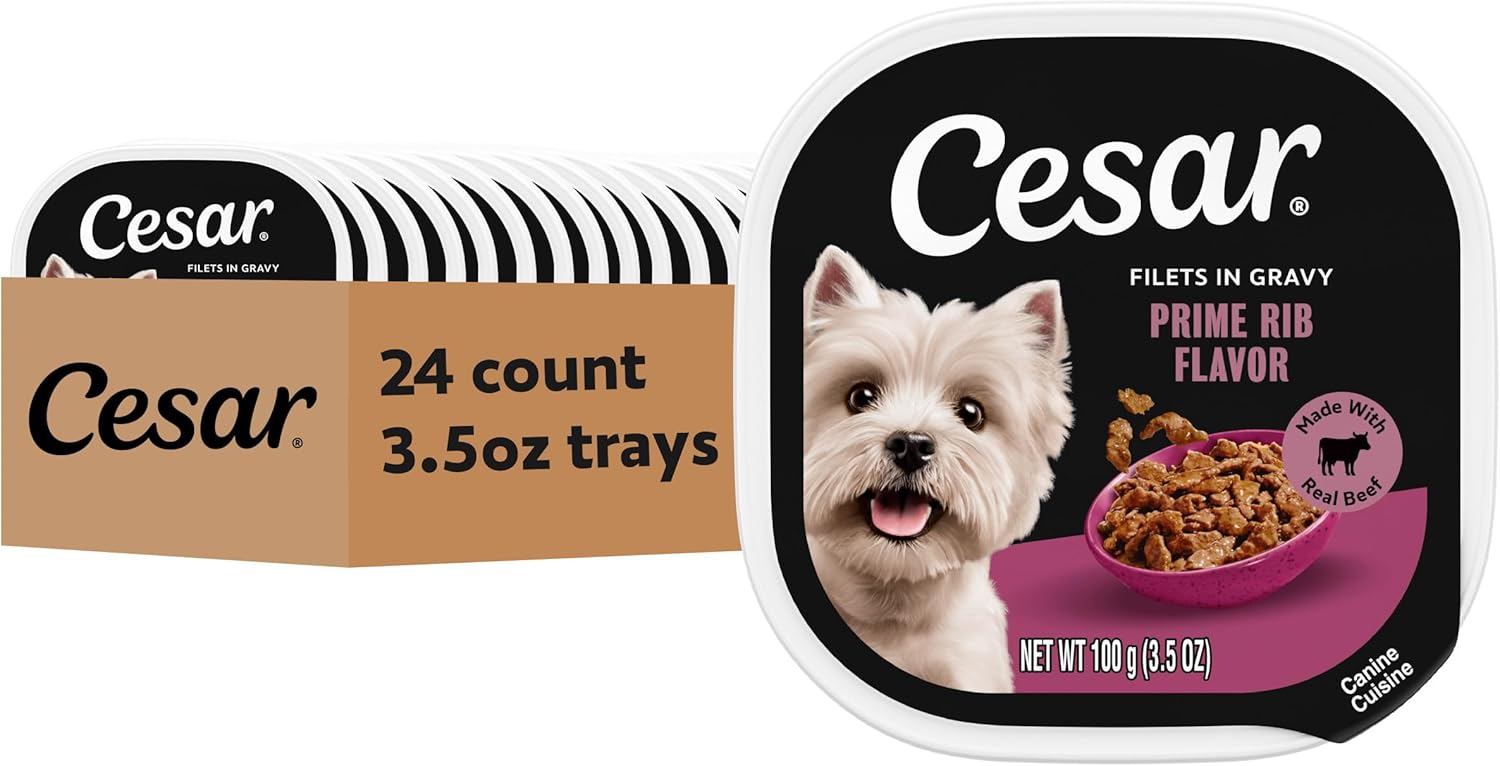 Cesar Filets in Gravy Adult Wet Dog Food Filet Mignon Flavor, 3.5 oz. Easy Peel Dog Food Tray, 24 Count (Pack of 1) - Image 13