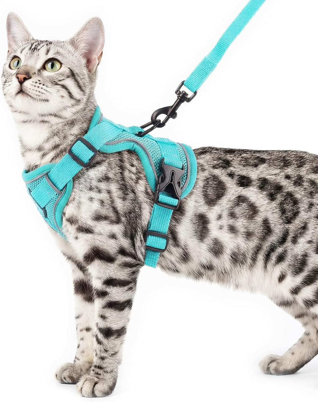 Cat Harness and Leash Set Escape Proof Tactical Extra Large Kitten Harness Emotional Support Cat Vest, Grey, XL - Image 10